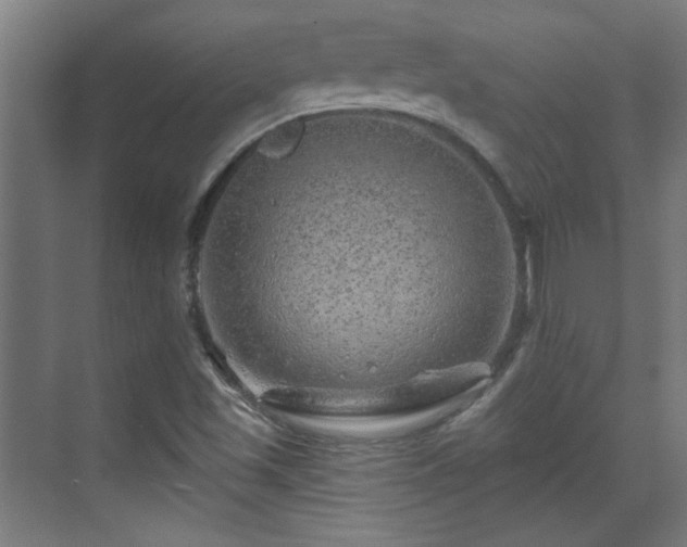 X0000071341501200606261302