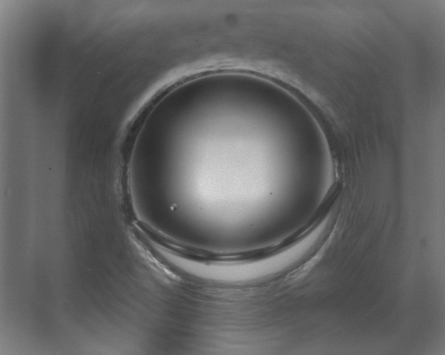 X0000071341502200606261302