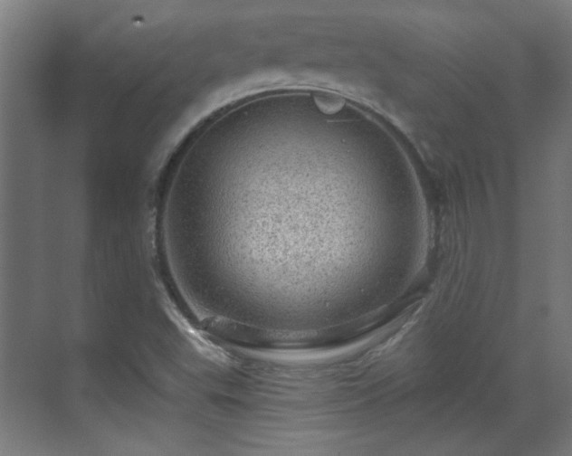 X0000071341503200606261302