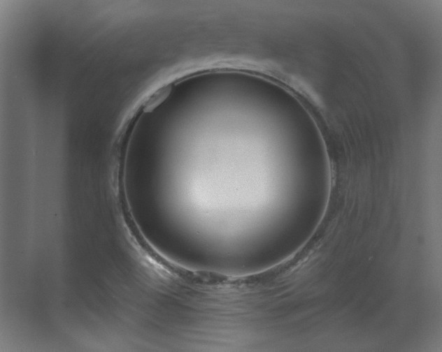 X0000071341504200606261302