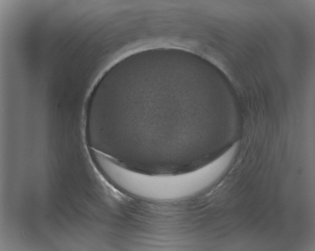 X0000071341508200606261302