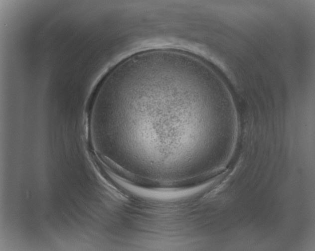 X0000071341509200606261302