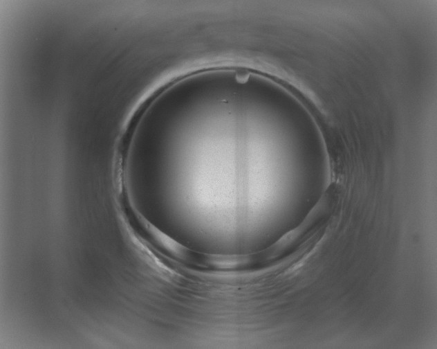 X0000071341510200606261302