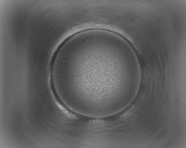 X0000071341511200606261302