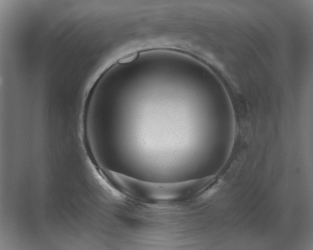 X0000071341512200606261302