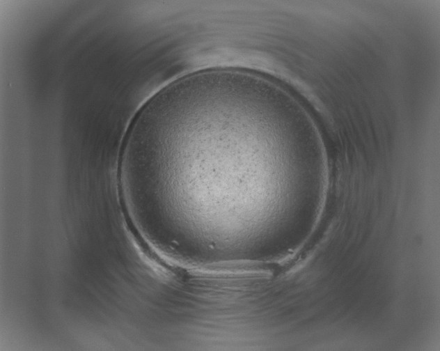 X0000071341513200606261302