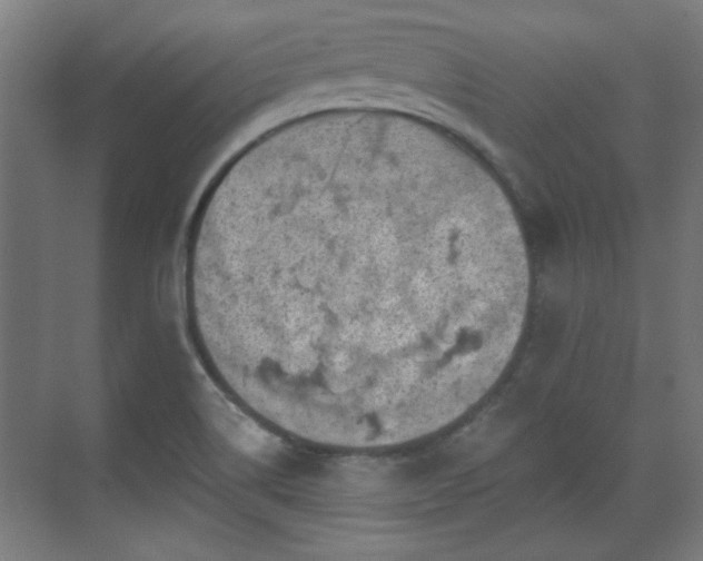 X0000071341514200606261302