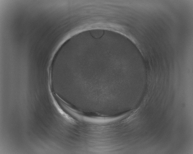 X0000071341515200606261302