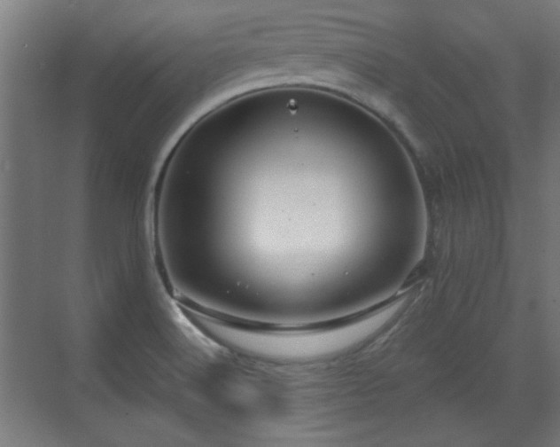 X0000071341516200606261302