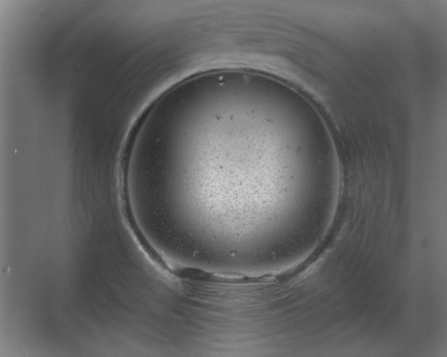 X0000071341517200606261302