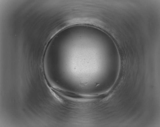 X0000071341521200606261302