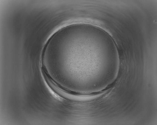 X0000071341523200606261302