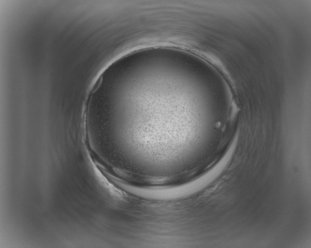 X0000071341524200606261302