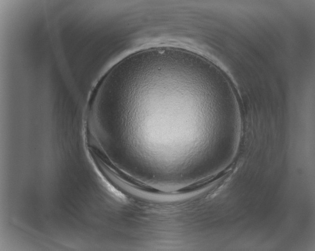 X0000071341525200606261302