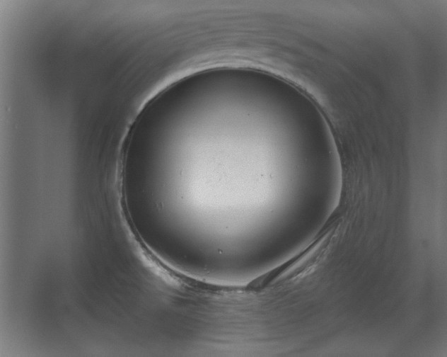 X0000071341526200606261302