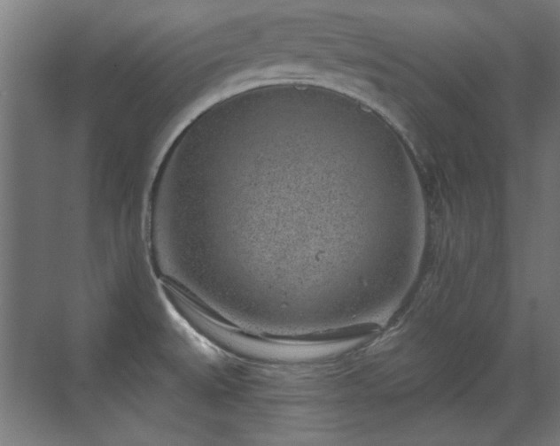 X0000071341527200606261302