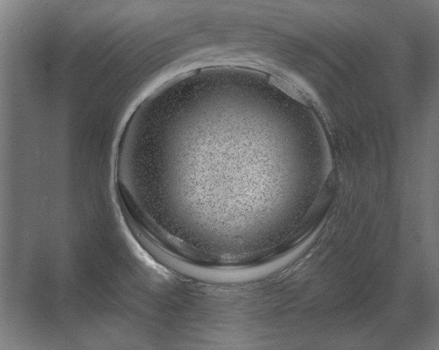 X0000071341528200606261302