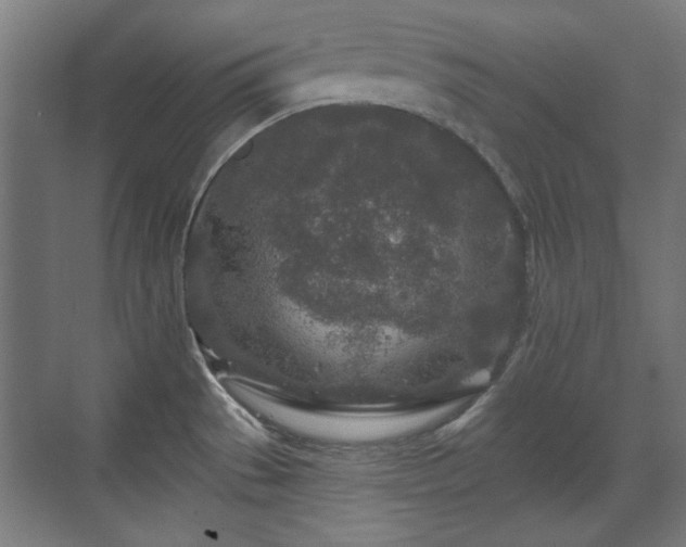 X0000071341529200606261302