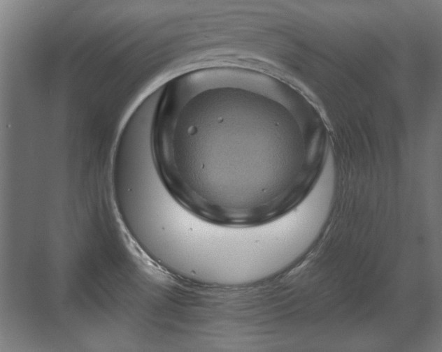 X0000071341530200606261302