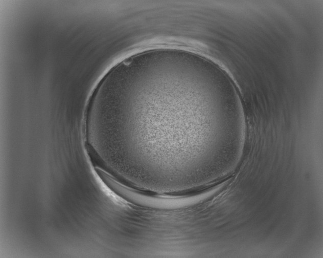 X0000071341531200606261302