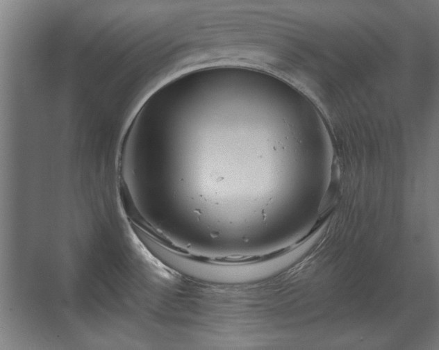 X0000071341532200606261302