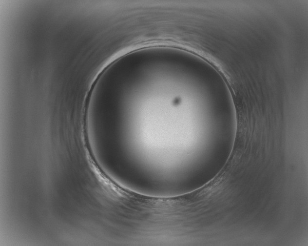 X0000071341534200606261302