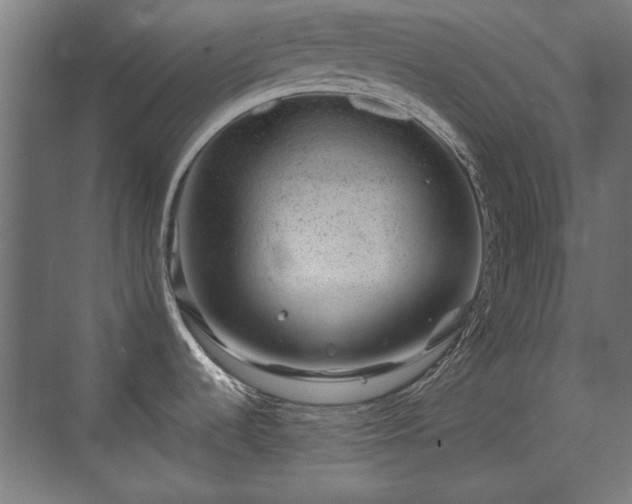 X0000071341536200606261302