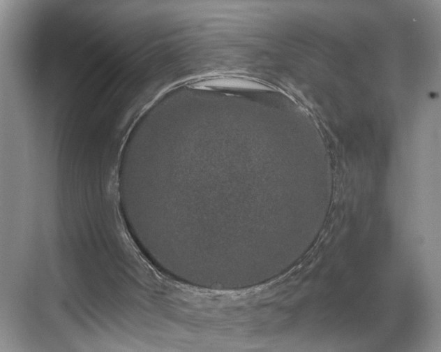 X0000071340002200606301638