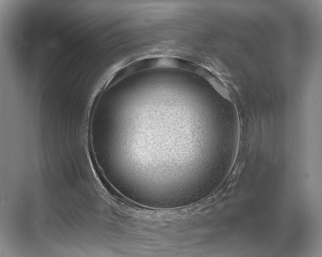 X0000071340003200606301638
