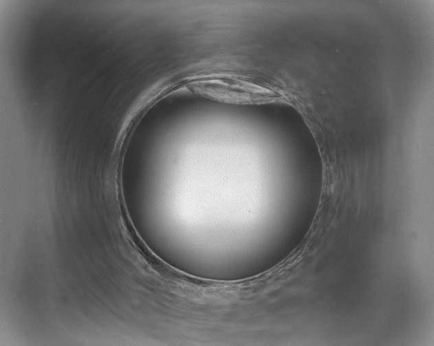 X0000071340004200606301638