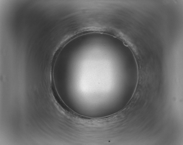 X0000071340011200606301638