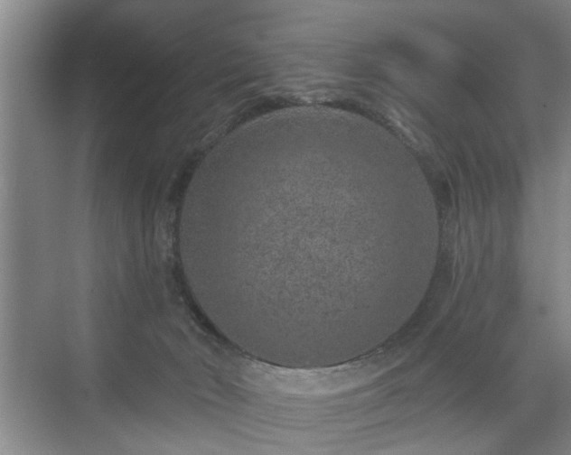 X0000071340030200606301638