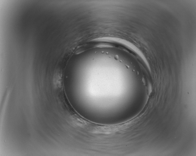 X0000071340033200606301638