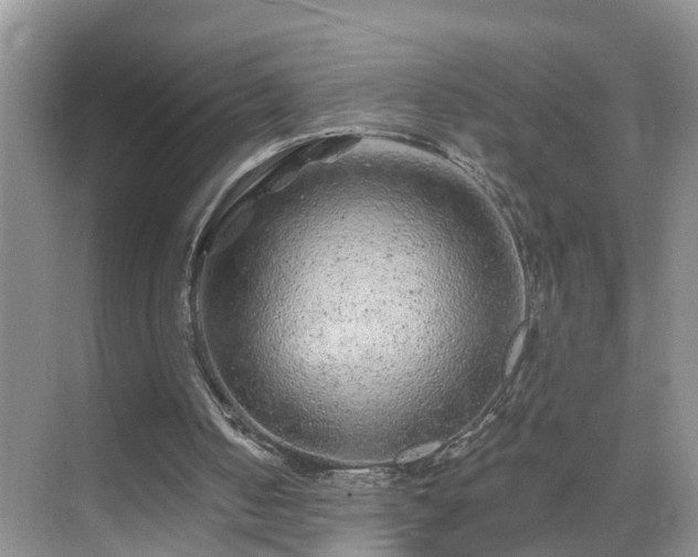 X0000071340050200606301637