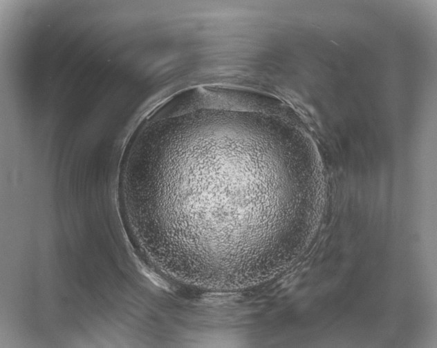 X0000071340051200606301637