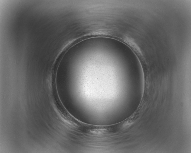 X0000071340108200606301637
