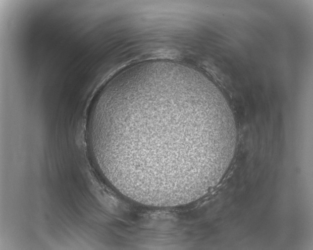 X0000071340146200606301635