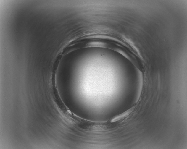 X0000071340154200606301635