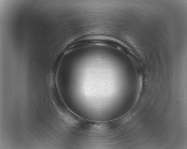 X0000071340164200606301635