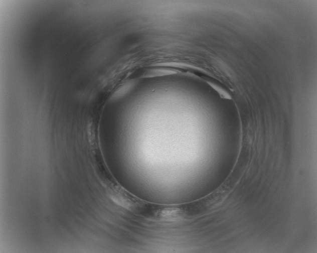 X0000071340173200606301636