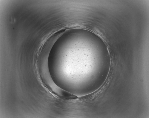 X0000071340193200606301635