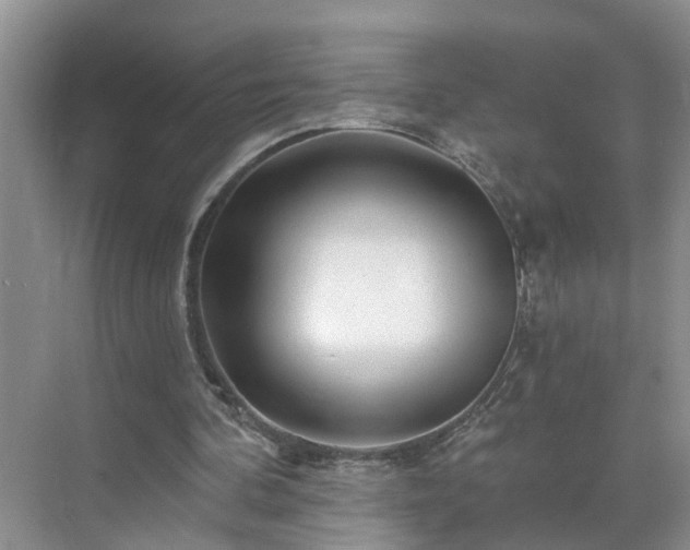 X0000071340292200606301633