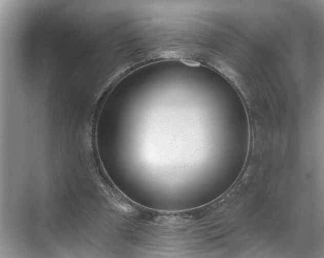 X0000071340297200606301633
