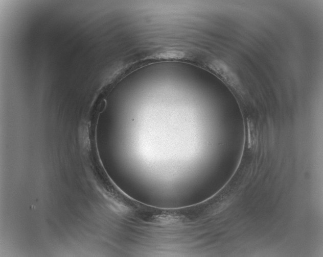 X0000071340300200606301633