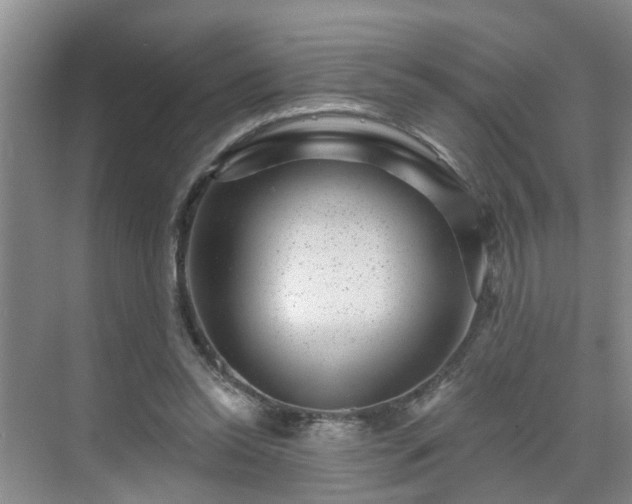X0000071340350200606301632