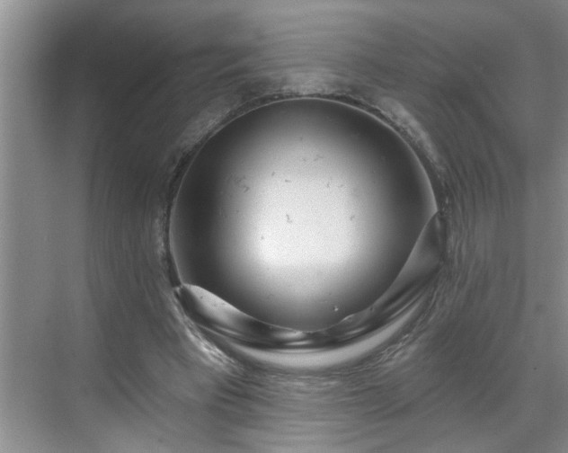X0000071340393200606301632