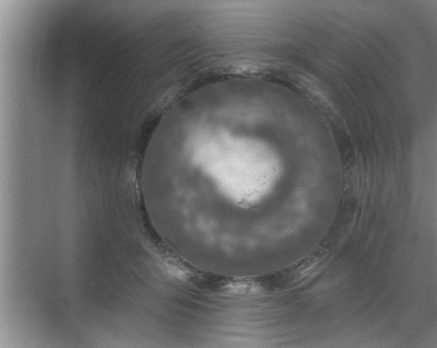 X0000071340415200606301631