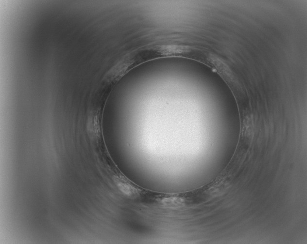 X0000071340426200606301631