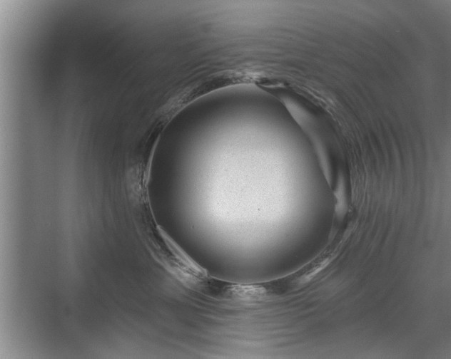 X0000071340429200606301631