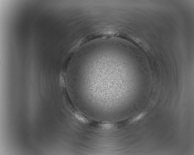 X0000071340432200606301631